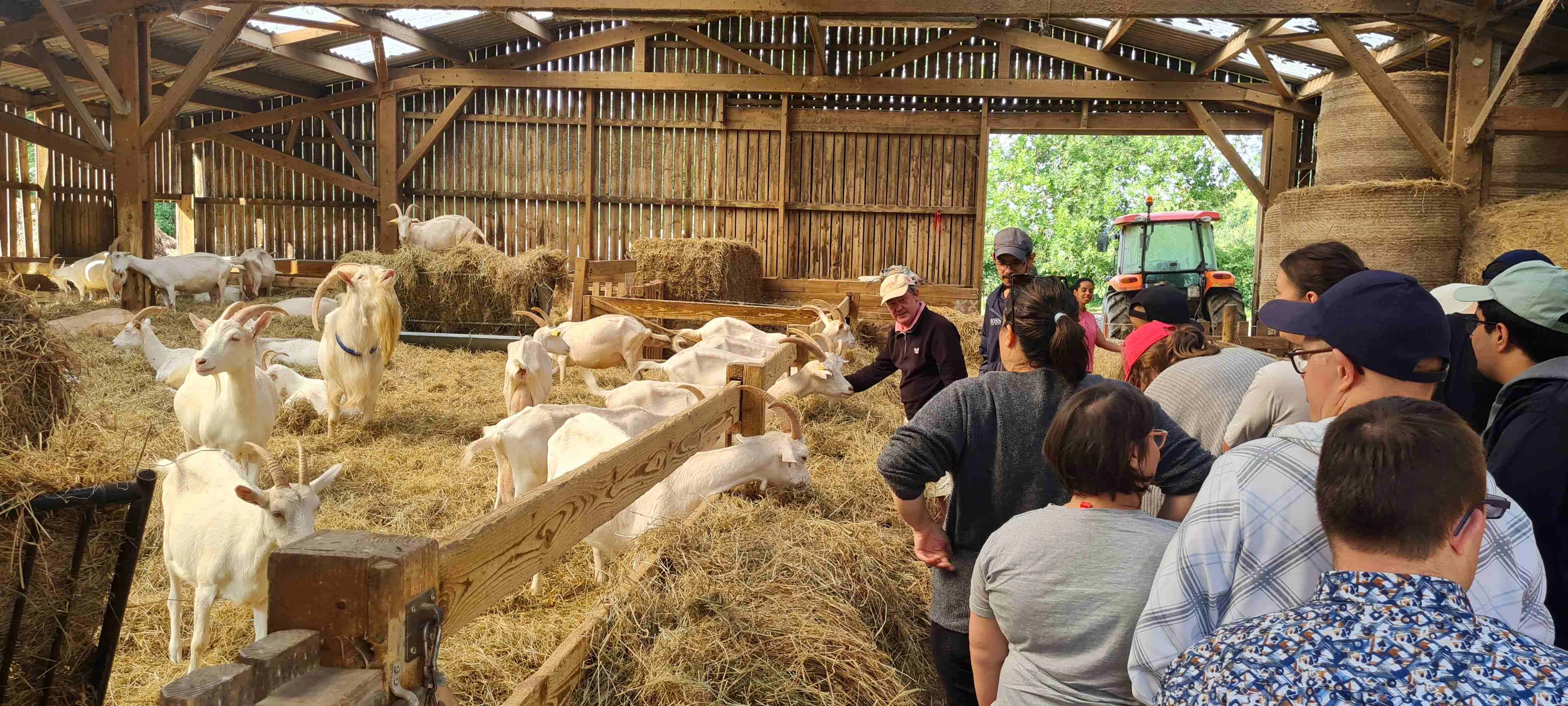 Les Lierres : Sortie à la chevrerie et au parc Canadien